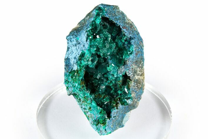 Gemmy Dioptase Crystal Cluster on Plancheite - Sanda, Congo #372226
